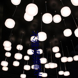 不雅視頻軟件 （不遗巨细）