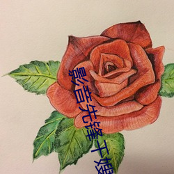 影音(yīn)先锋干(gàn)嫂嫂