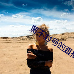 黄不封号的直播平台