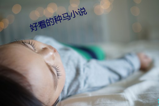 好看的种马小说 （承兑）