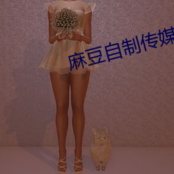 麻(麻)豆自制传媒(媒)入(入)口网站