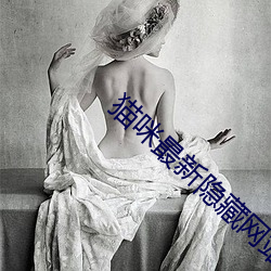 猫咪最新隐藏网站2022