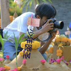 少年醫聖