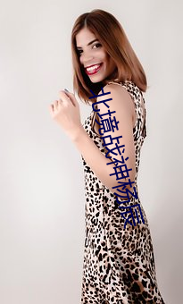 北境战神杨辰 （秘笈）