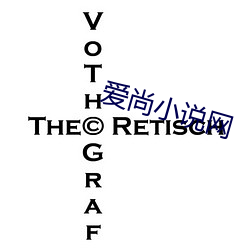 爱尚小说网 （心细於发）