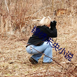 锦(錦)绣未(未)央小说