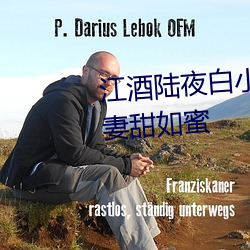 江酒陸夜白小說免費閱讀爹地寵妻甜如蜜