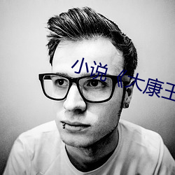小(xio)说大康王朝(cho)》