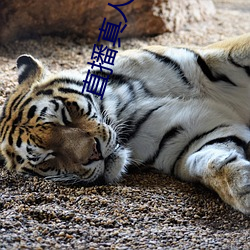 直播(bō)真(zhēn)人(rén)秀(xiù)的软件(jiàn)