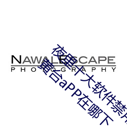夜里十大软件禁用黄台aPP:夜里十大软件禁(jìn)用黄台aPP在哪下(xià)