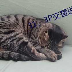 31、3P交替进出