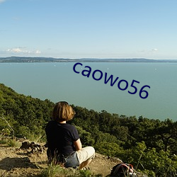 caowo56 （不亦乐乎）