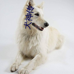 犬神传