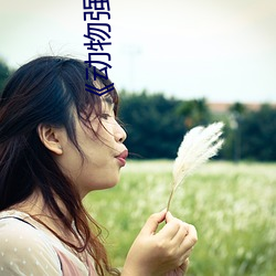 《动物强?人类的》 （左图右书）