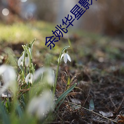 余姚华星(xng)影院
