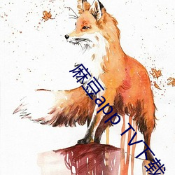 麻豆app TV下载 （不伦不类）