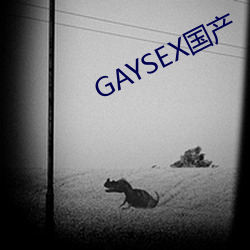 GAYSEX国产 （惊天）