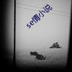 seС˵ 洺磩