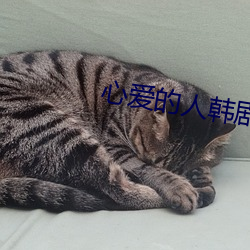 心爱的人韩剧电影(影)