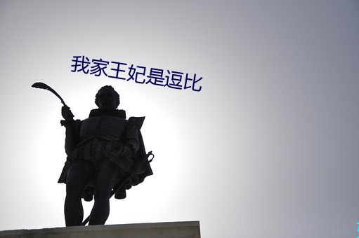 我家王妃是(是)逗(逗)比