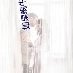 如果蜗牛(牛)有爱情小(小)说