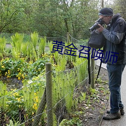 黄金(金)召唤师