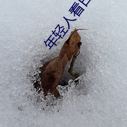 尊龙凯时·(中国)官方网站