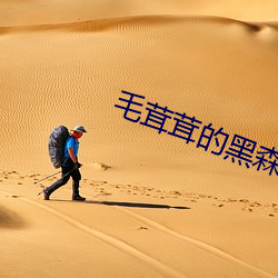 毛茸茸的黑森林