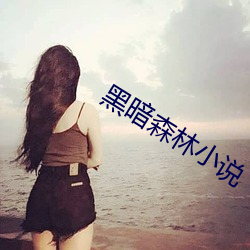 黑暗森(sēn)林小说