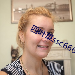 四叶草ssc66655 （软卧）
