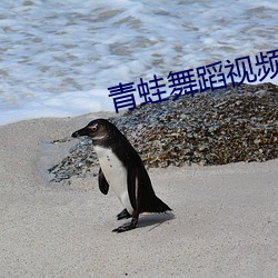 青蛙舞蹈视频最火