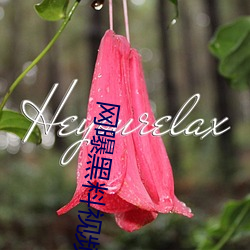 ca88手机客户端(安卓/苹果)CA88会员登录入口