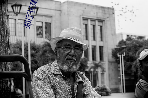 郑厅长萧燕25章全文阅读