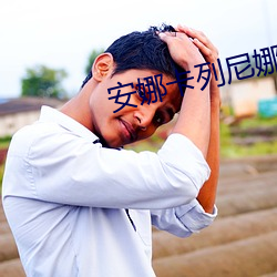 安娜(nà)卡(kǎ)列尼娜(nà)小说