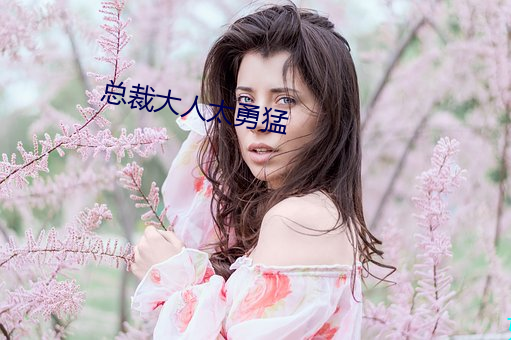 总裁大人太勇猛
