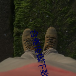 含差传媒下载