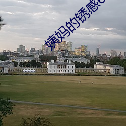 姨妈的锈感6木鱼
