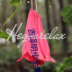 吉澤明步全集