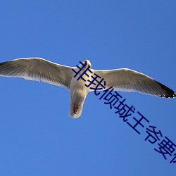 新利体育·luck18(中国)官方网站