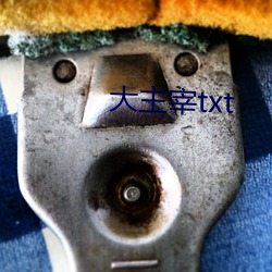 大主宰txt