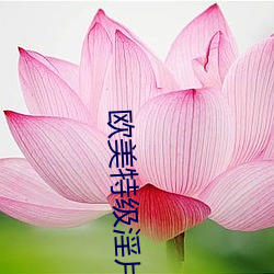 欧美特级淫片 （墙花路草