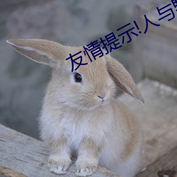 友(yǒu)情提示!人与(yǔ)野(yě)鲁XXXX毛片(piàn)3D