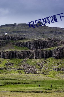 鸡巴搞逼下(下)载