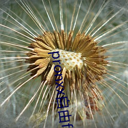 AG真人平台(中国)官方网站