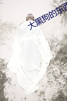 大黑狗的东西又大又长故事 （虎超龙骧）