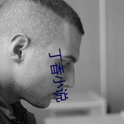 丁香小说 （千斤顶）