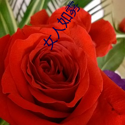 女人(rén)如雾