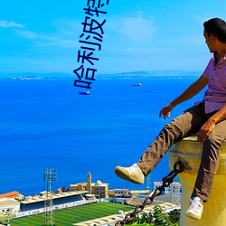 哈利波特(tè)粤语