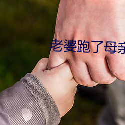 老婆跑了母親替代小說