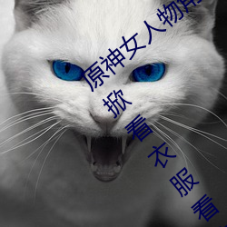 原神女人物角色不遮副乳圖片 原神女角色掀看衣服看自己副